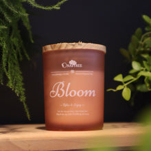 Load image into Gallery viewer, Nến hương nước hoa đặc biệt size 130gr